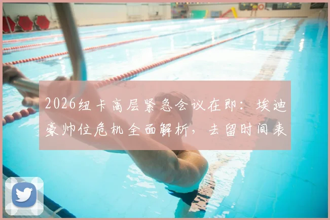 2026纽卡高层紧急会议在即:埃迪豪帅位危机全面解析,去留时间表与继任者预测指南