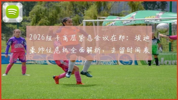 2026纽卡高层紧急会议在即：埃迪豪帅位危机全面解析，去留时间表与继任者预测指南