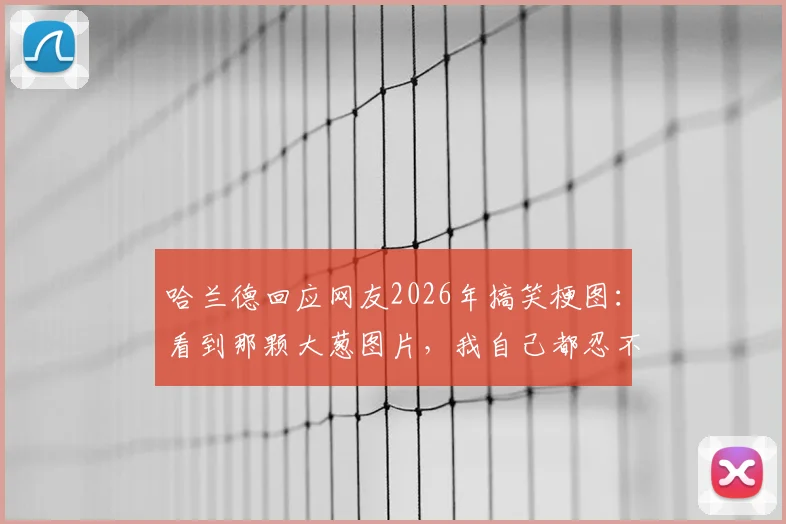 哈兰德回应网友2026年搞笑梗图：看到那颗大葱图片，我自己都忍不住笑了！附热门哈兰德表情包合集